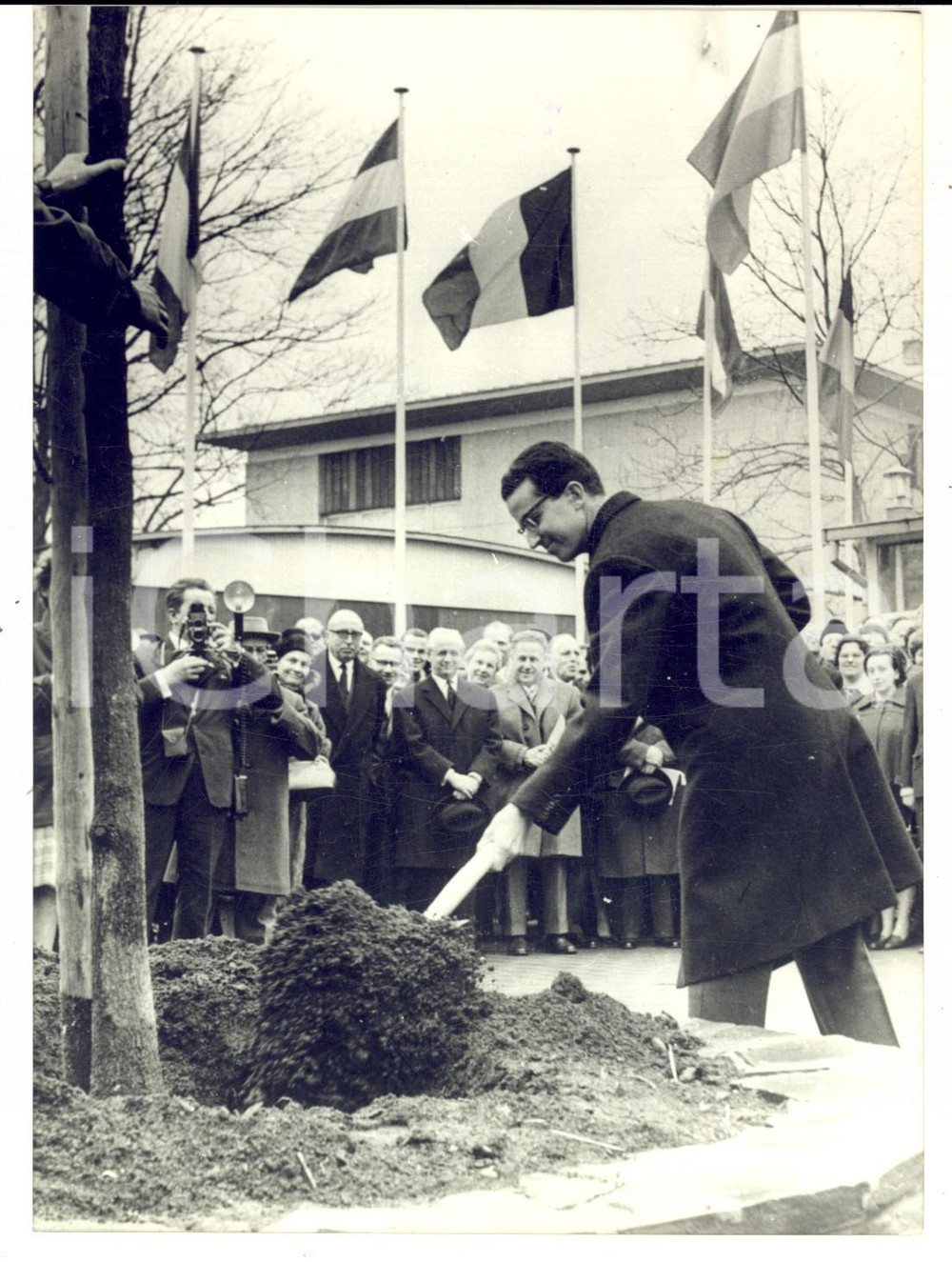 Fotografia d epoca originale 1964 BRUXELLES Re BALDOVINO pianta albero Europa unita ala Scuola Europea Foto 1