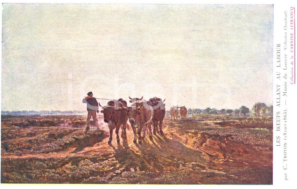Cartolina originale da collezione 1910 CARNINE LEFRANCQ Constant Troyon Les boeufs FP NV 1