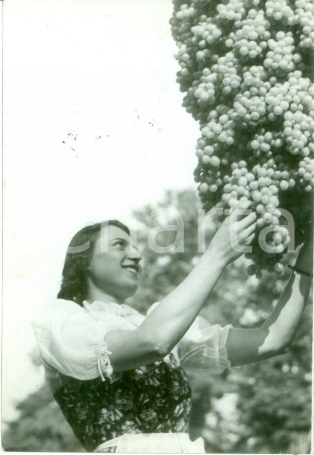 Fotografia d epoca originale 1941 MILANO La festa dell uva ai giardini pubblici Fotografia 1