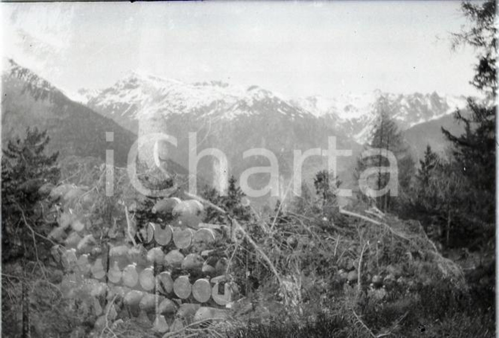 6X4cm NEGATIVO ORIGINALE * 1915 WW1 ESERCITO ITALIANO Catasta proiettili cannone