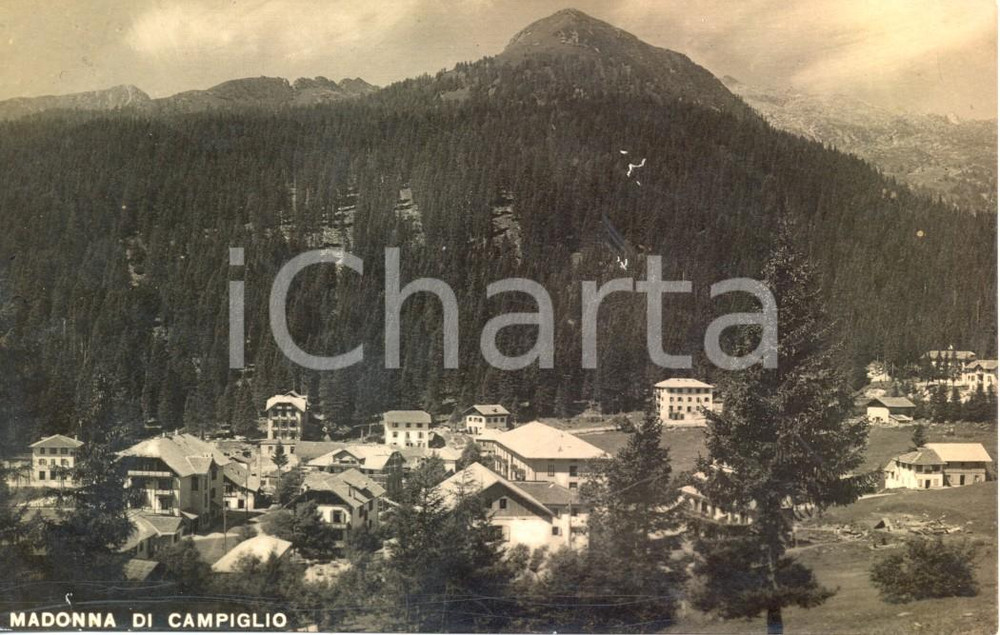Cartolina originale da collezione 1926 MADONNA DI CAMPIGLIO (TN) Panorama DOLOMITI di BRENTA *Cartolina FP NV 1