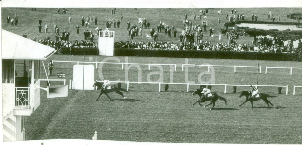 Fotografia d epoca originale 1941 MILANO SAN SIRO L arrivo del cavallo NiccolÃ² dell Arca Fotografia 1