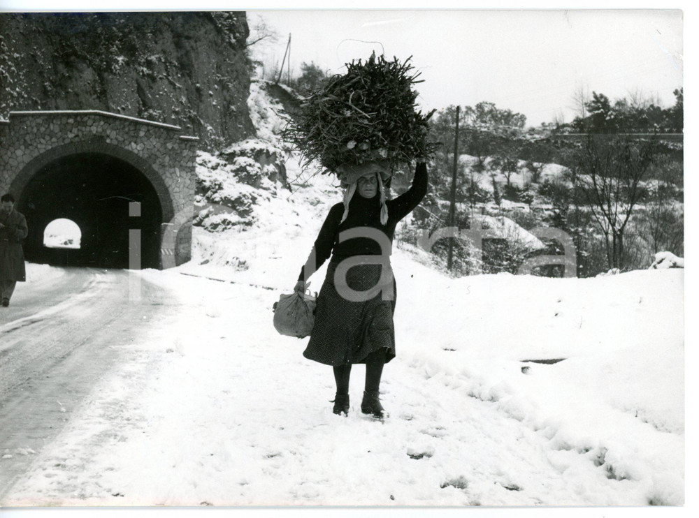 1957 CASTELLI ROMANI Contadino carico di fascine su una strada innevata *Foto