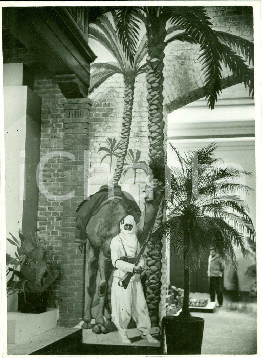 Fotografia d epoca originale 1936 MILANO Padiglione Agricoltura MUSSOLINI Angolo SOMALIA Fiera Campionaria 1