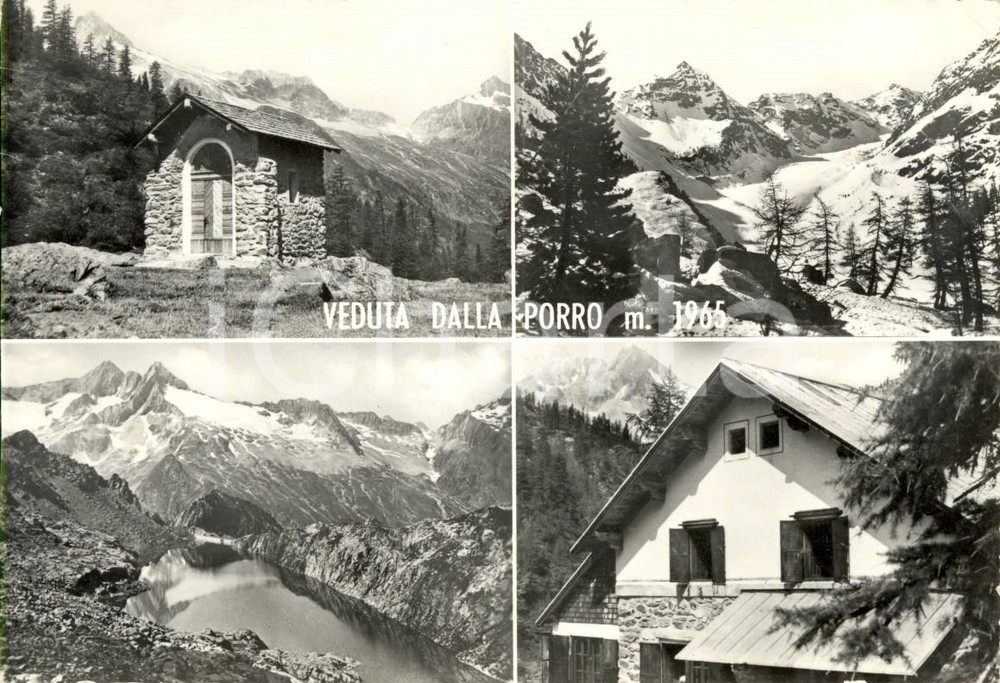 Cartolina originale da collezione 1955 ALPE VENTINA SO Vedutine Rifugio PORRO e dintorni Cartolina FG VG 1