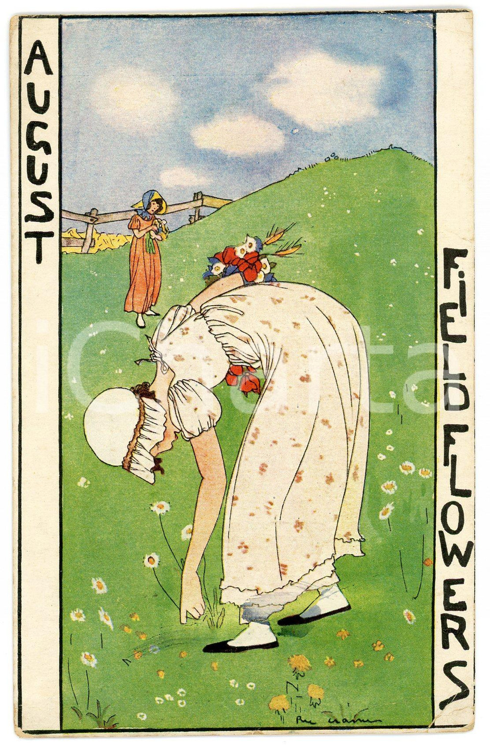 1925 AUGUST Field Flowers - Illustration by Rie CRAMER Postcard FP VG Cartolina postale d'epoca, viaggiata.CONDIZIONI: FAIR (piegature agli angoli)FORMATO: FP    originale e autentica 1