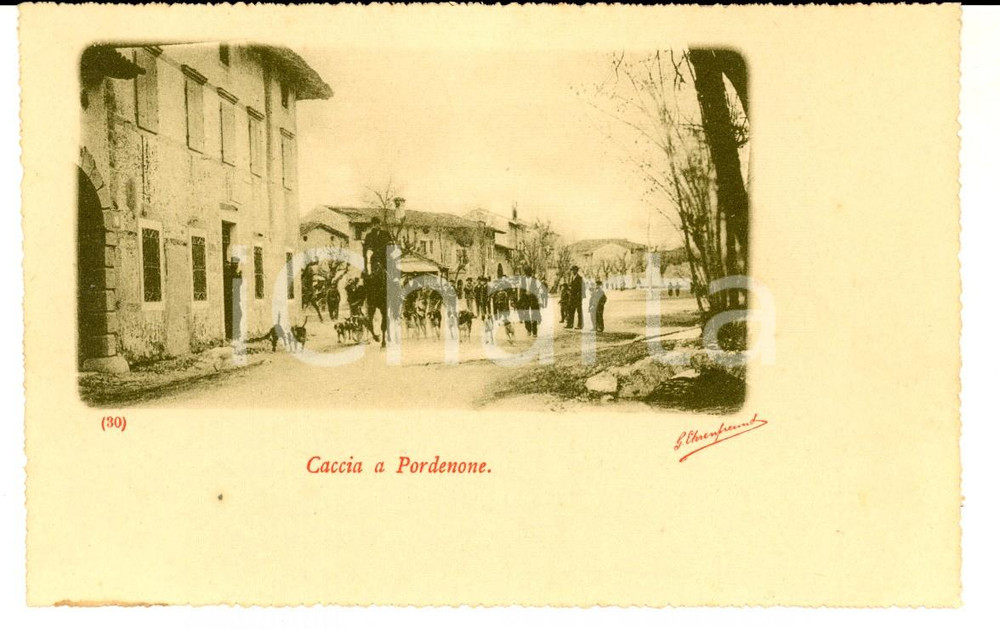 Cartolina originale da collezione 1900 ca PORDENONE Una battura di caccia con i cani Cartolina animata FP NV 1