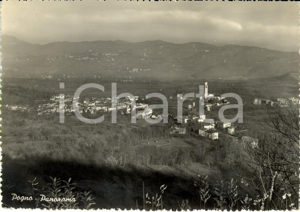 Cartolina originale da collezione 1951 POGNO NO Panorama del borgo e della vallata Cartolina postale FG NV 1