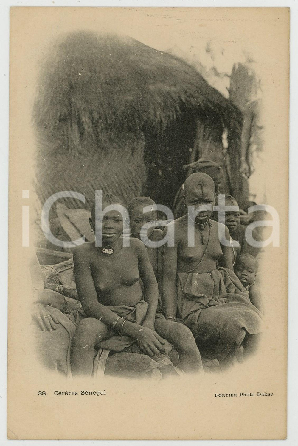1900 ca AOF - SENEGAL CÃ©rÃ¨res NU ETHNIQUE Carte postale FP NV  Cartolina postale d'epoca, non viaggiata.CONDIZIONI: FAIR (piegatura all'anglo inferiore destro)FORMATO: FP    originale e autentica 1