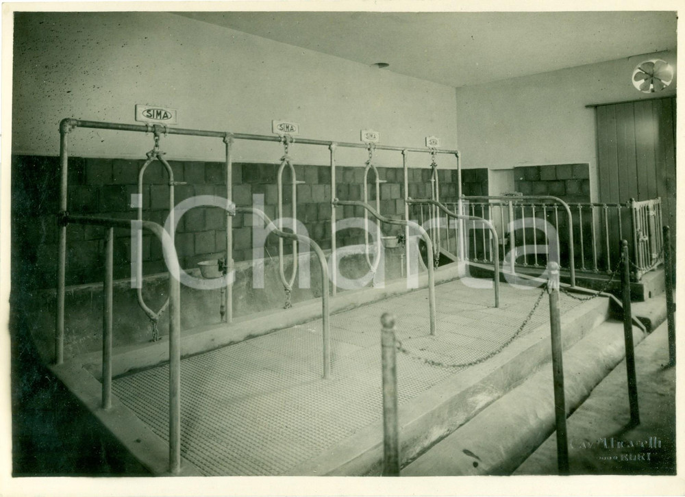 Fotografia d epoca originale 1934 BARI Mangiatoia SIMA Casa Colonica Tipo alla FIERA DEL LEVANTE Fotografia 1