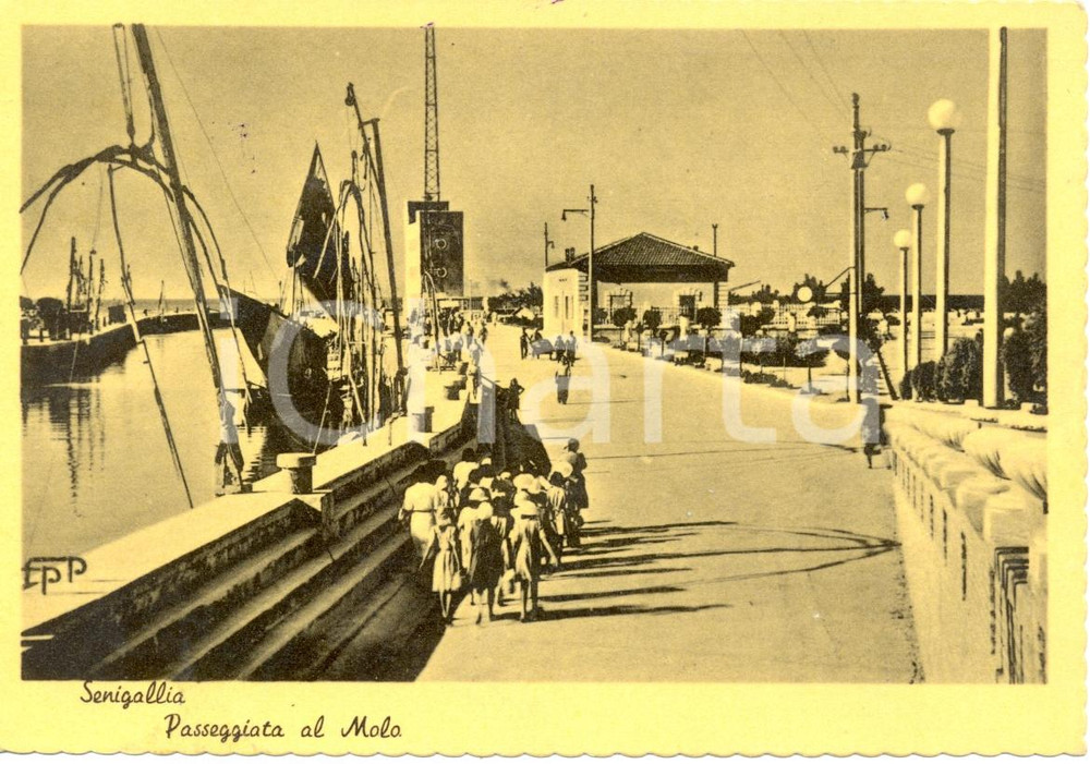 Cartolina originale da collezione 1953 SENIGALLIA (AN) La passeggiata al MOLO con passanti * ANIMATA FG VG 1