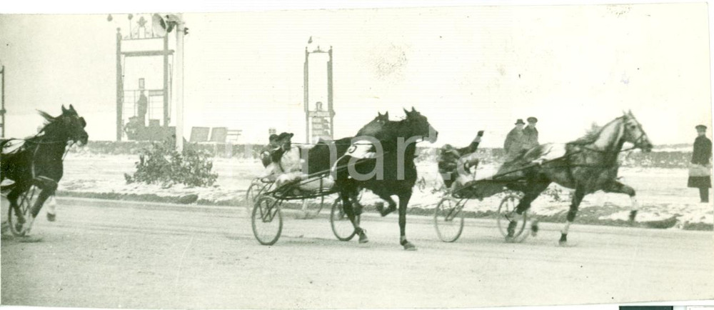 Fotografia d epoca originale 1939 MILANO Ippica Cavallo DIAVOLO BIANCO taglia traguardo al trotto Fotografia 1