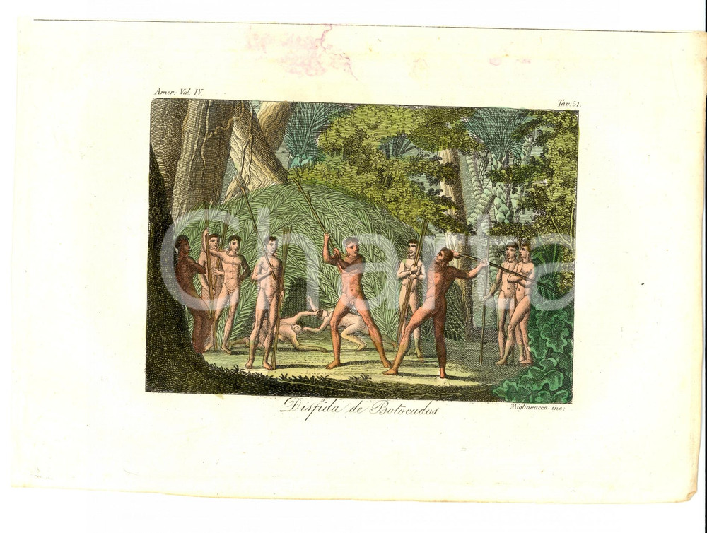 Stampa, bozzetto originale 1830 AMERICA Disfida de' BOTOCUDOS Inc. MIGLIAVACCA 1