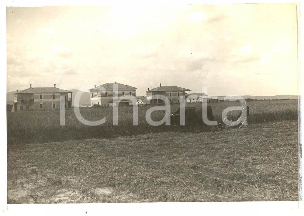 Fotografia d'epoca originale 1930 TERRALBA (OR) Case coloniche dopo Bonifica ANIMATA 1