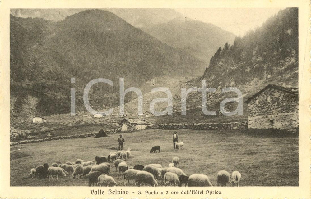 Cartolina originale da collezione 1912 APRICA (SO) Val BELVISO Pastori con gregge di pecore a SAN PAOLO *Animata 1