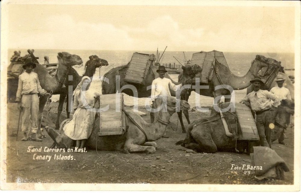 Cartolina originale da collezione 1930 ca CANARY ISLANDS Sand carriers on Kest VINTAGE postcard F. BAENA 1