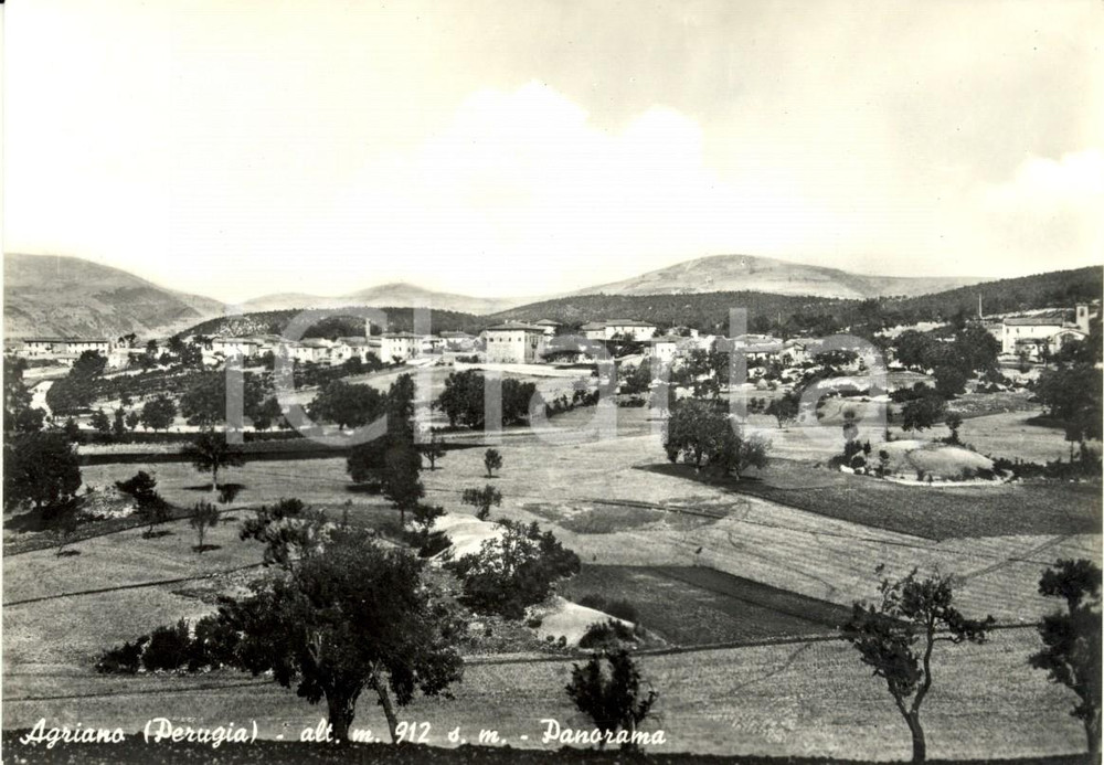 Cartolina originale da collezione 1958 AGRIANO PG Veduta panoramica del paese e dei dintorni Cartolina FG VG 1