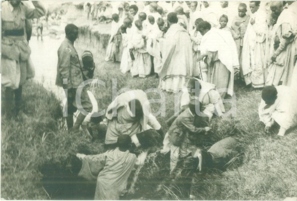 Fotografia d epoca originale 1936 ETIOPIA AOI Indigeni al lavoro in una piantagione Fotografia 1