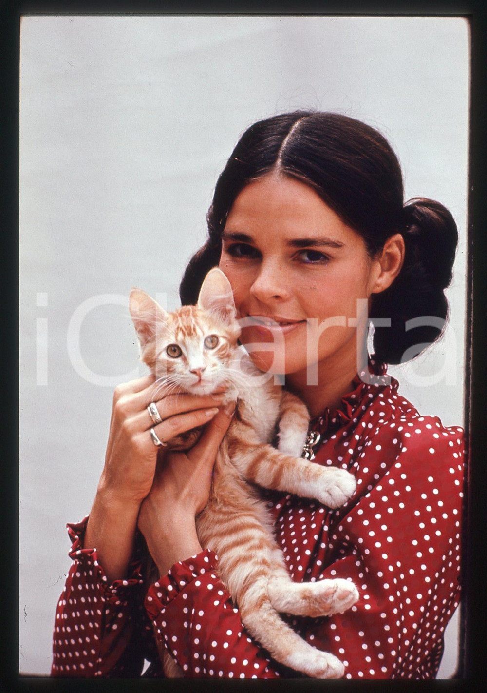 35mm vintage slide* 1975 ca CINEMA Ali MacGRAW Ritratto con gattino
