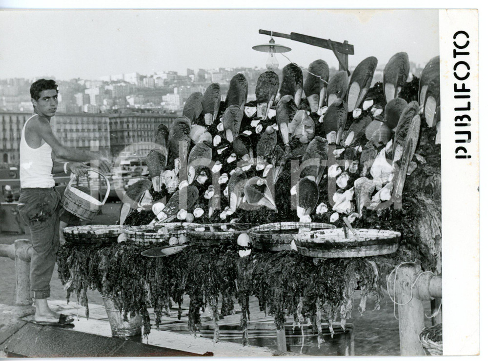 1955 ca NAPOLI - MERGELLINA Ostricaro durante raccolta delle ostriche *Foto
