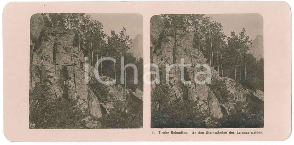 1905 ca TIROLO / DOLOMITI Steinwanden des Laranzerwaldes *Stereoscopica 8 Fotografia stereoscopica d'epoca.  GOOD/buono  Formato: 18x9 cm originale e autentica 1