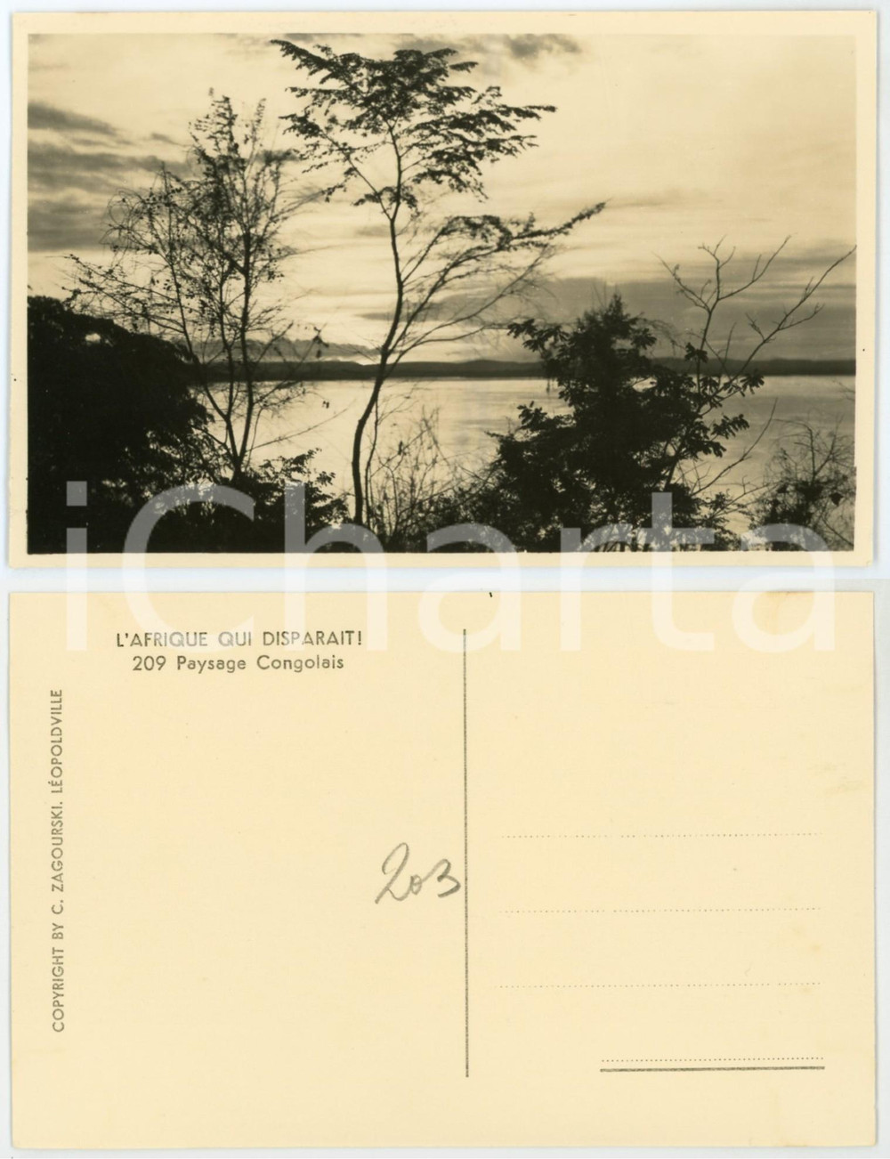 1930 ca C. ZAGOURSKI «L'Afrique qui disparaît» Paysage Congolais - Postcard 209  Fotocartolina postale d'epoca, appartenente alla serie &laquo;L'Afrique qui dispara&icirc;t&raquo; del fotografo Casimir Zagourski (L&eacute;opoldville).N&deg; 209, non viaggiata.CONDIZIONI: GFORMATO: 14x9 cm    originale e autentica 1