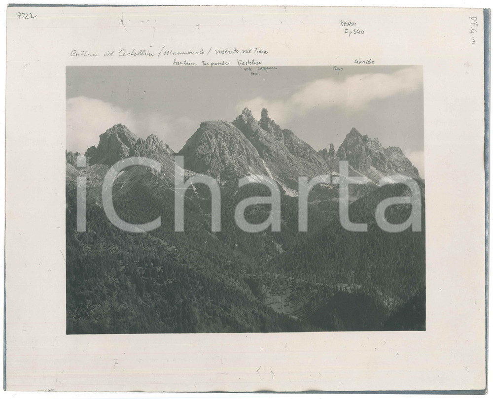 Fotografia d epoca originale 1940 ca CADORE  MARMAROLE Versante VAL PIAVE Ciastelin CIARIDO Foto 30x24 cm 1