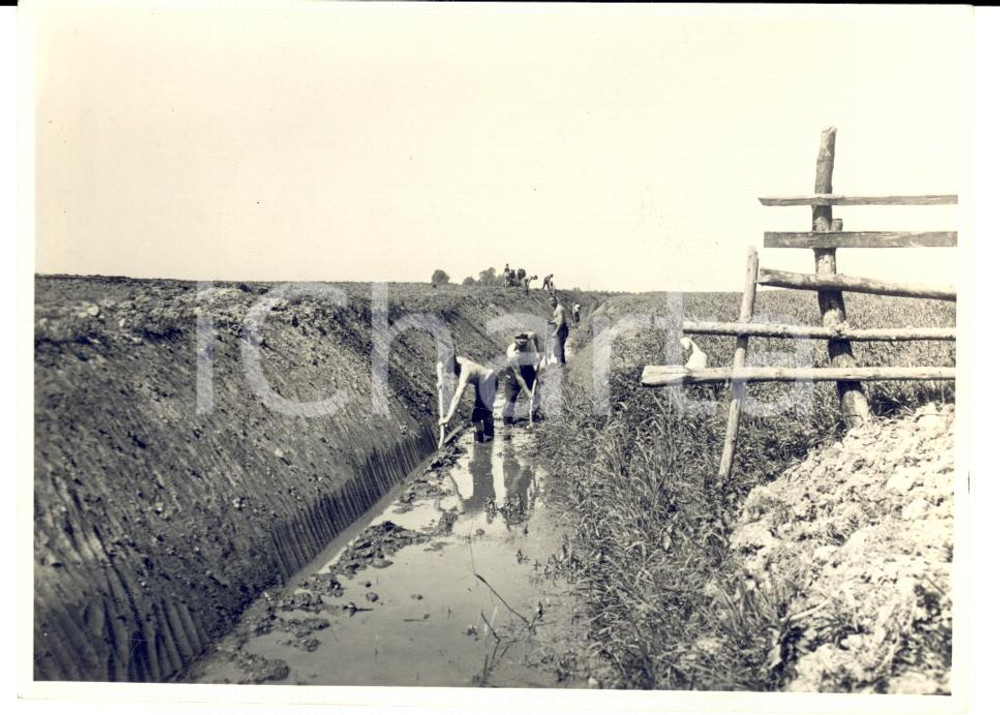 Fotografia d epoca originale 1933 AUSTRIA Operai della colonia di KAHNLAGER al lavoro Foto 11 x 8 cm 1