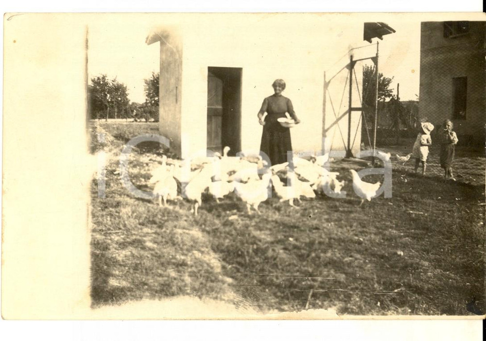 Fotografia d epoca originale 1930 ca AREA LOMBARDA Contadina con galline nell aia Foto 13x9 cm 1