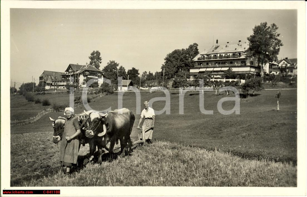 Cartolina originale da collezione 1940 ca SOPRABOLZANO sul RENON Animata contadini FP NV 1