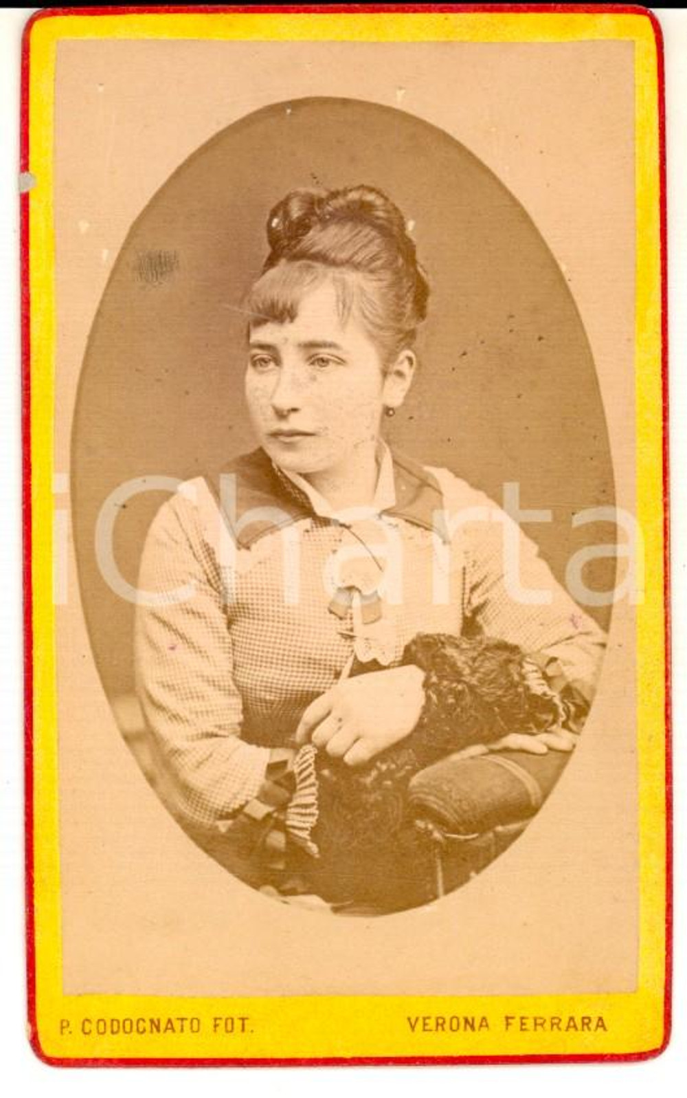 Fotografia d epoca originale 1880 ca VERONA Ritratto di donna con abito a quadretti Foto CODOGNATO CDV 1