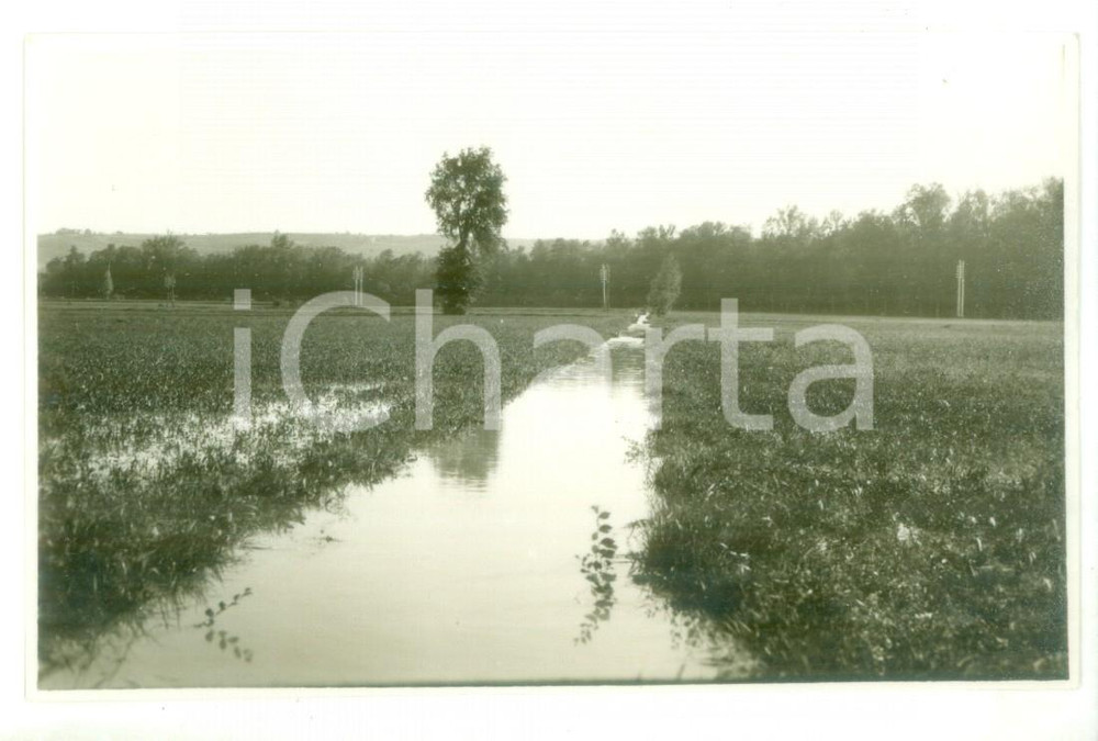 Fotografia d epoca originale 1931 FRANCAVILLA BISIO AL Veduta di una risaia  Foto cartolina 1