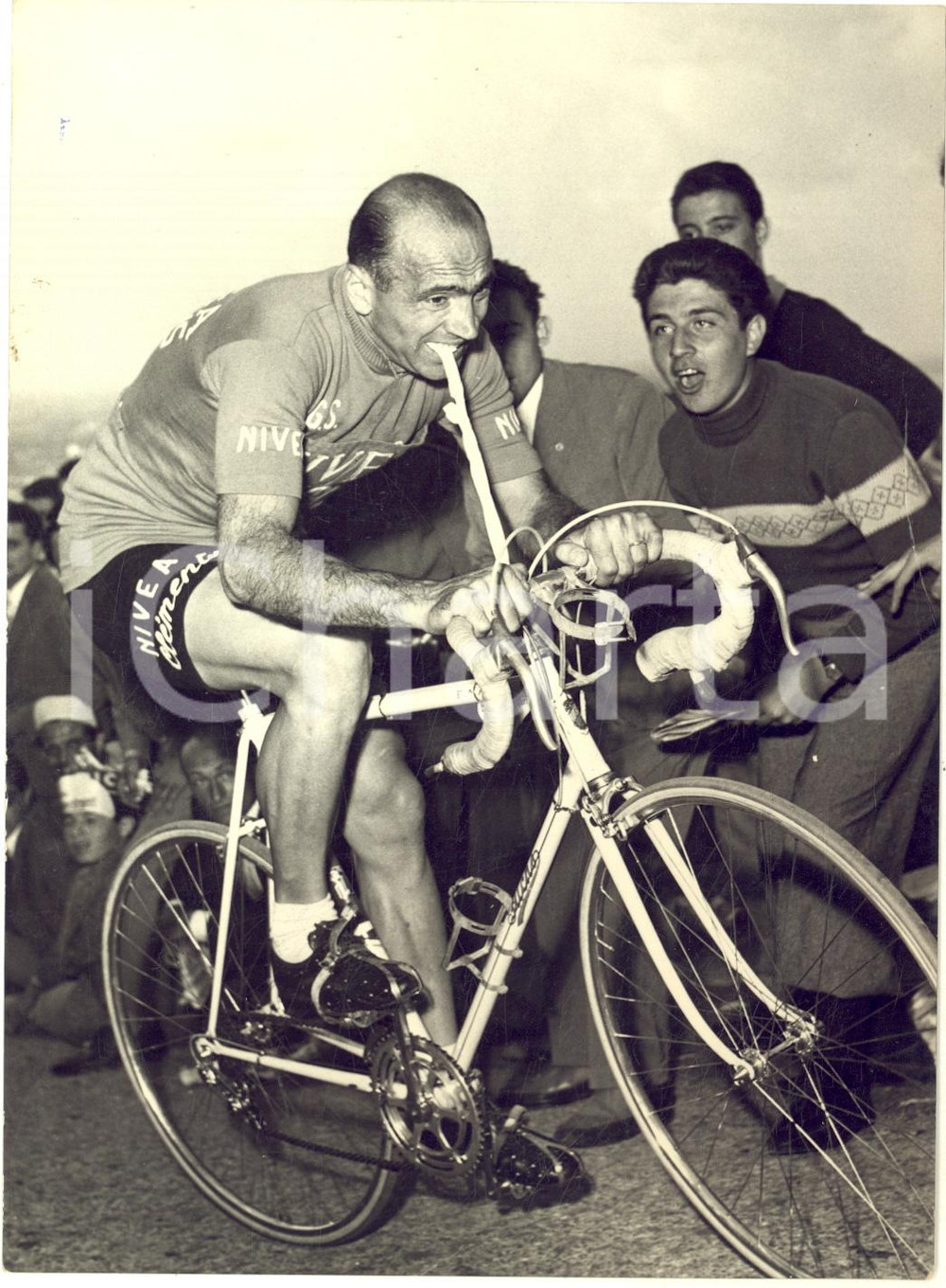 1956 GIRO D'ITALIA Fiorenzo MAGNI nella crono Bologna-Madonna di San Luca *Foto