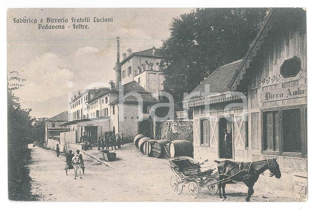 1908 PEDAVENA (BL) Fabbrica e Birreria FRATELLI LUCIANI *Cartolina ANIMATA RARA
