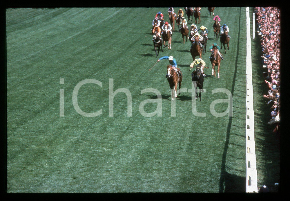 35mm vintage slide* 1977 EPSOM DERBY Lester PIGGOTT riding THE MINSTREL