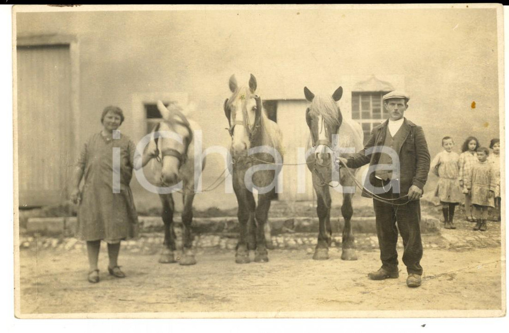 Fotografia d epoca originale 1930 ca BELGIQUE Famiglia contadina con tre cavallini Foto cartolina CURIOSA 1