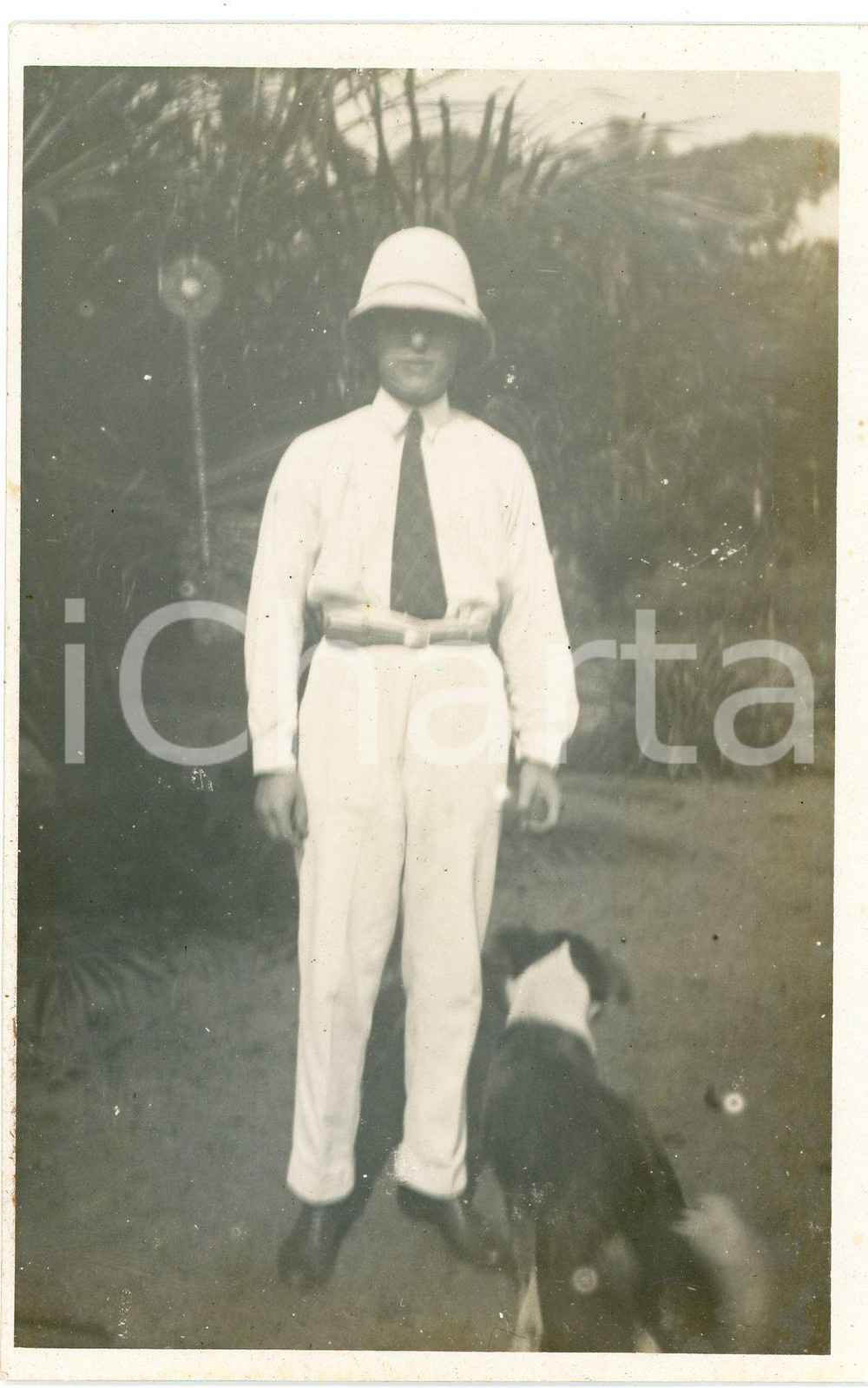 1930 ca CONGO BELGE - Portrait d'un colon avec son chien (3) Photo 9x14 cm Fotografia d'epoca, in formato cartolina postale. FAIR/discreto difetti di stampa Formato: 9x14 cm originale e autentica 1