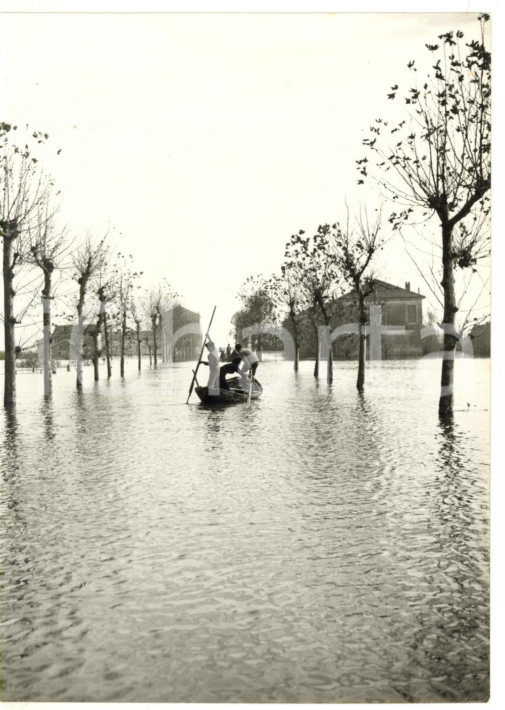 1957 NUBIFRAGIO POLESINE CAMERINI Alluvionati in barca per le vie del paese