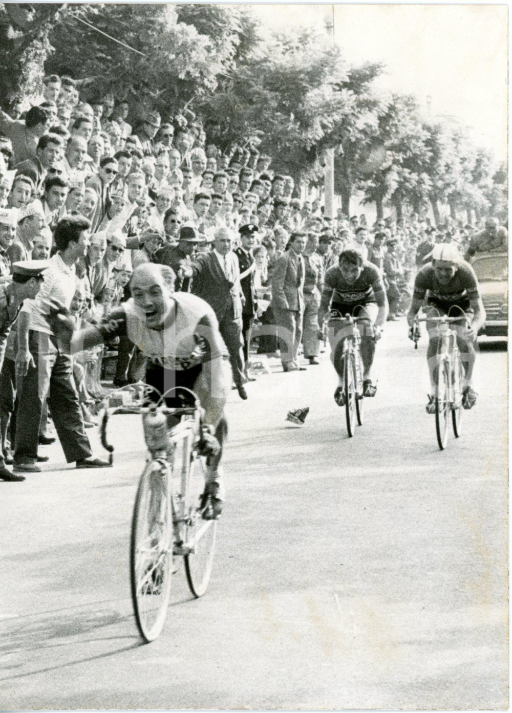 1959 SONDRIO - CICLISMO 39°Giro d'Italia - Vincitore Miguel POBLET al traguardo