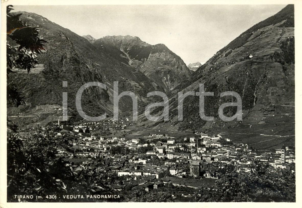 Cartolina originale da collezione 1954 TIRANO SO Veduta panoramica paese e vallata Cartolina postale FG VG 1