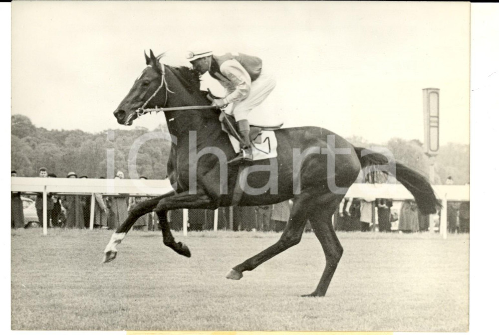 Fotografia d epoca originale 1959 PARIS LONGCHAMP Prix ARC DE TRIOMPHE  HERBAGER montÃ© par Guy CHANCELIER 1