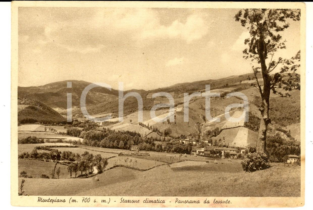 Cartolina originale da collezione 1947 MONTEPIANO PO Panorama da levante Cartolina postale VINTAGE FG VG 1