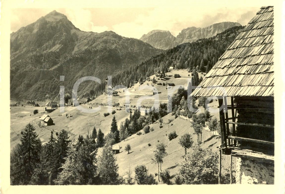 Cartolina originale da collezione 1953 FORNI AVOLTRI UD FRASSENETO Il monte PERALBA e PASSO AVANZA FG VG 1