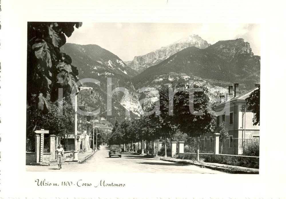 Cartolina originale da collezione 1953 ULZIO TO Veduta Corso Montenero AUTO D EPOCA Cartolina animata FG NV 1