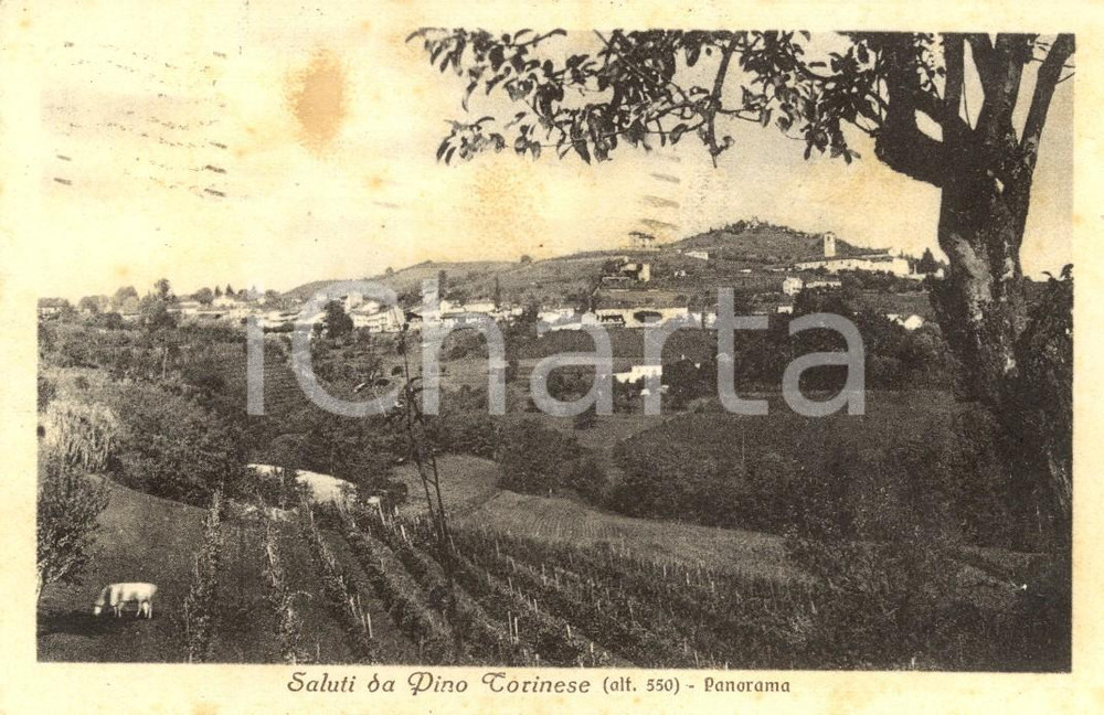 Cartolina originale da collezione 1930 PINO TORINESE TO Panorama del paese con vigneti Cartolina FP VG 1