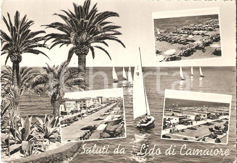 1955 ca LIDO DI CAMAIORE (LU) Vedutine con palme e barca a vela *Cartolina FG VG