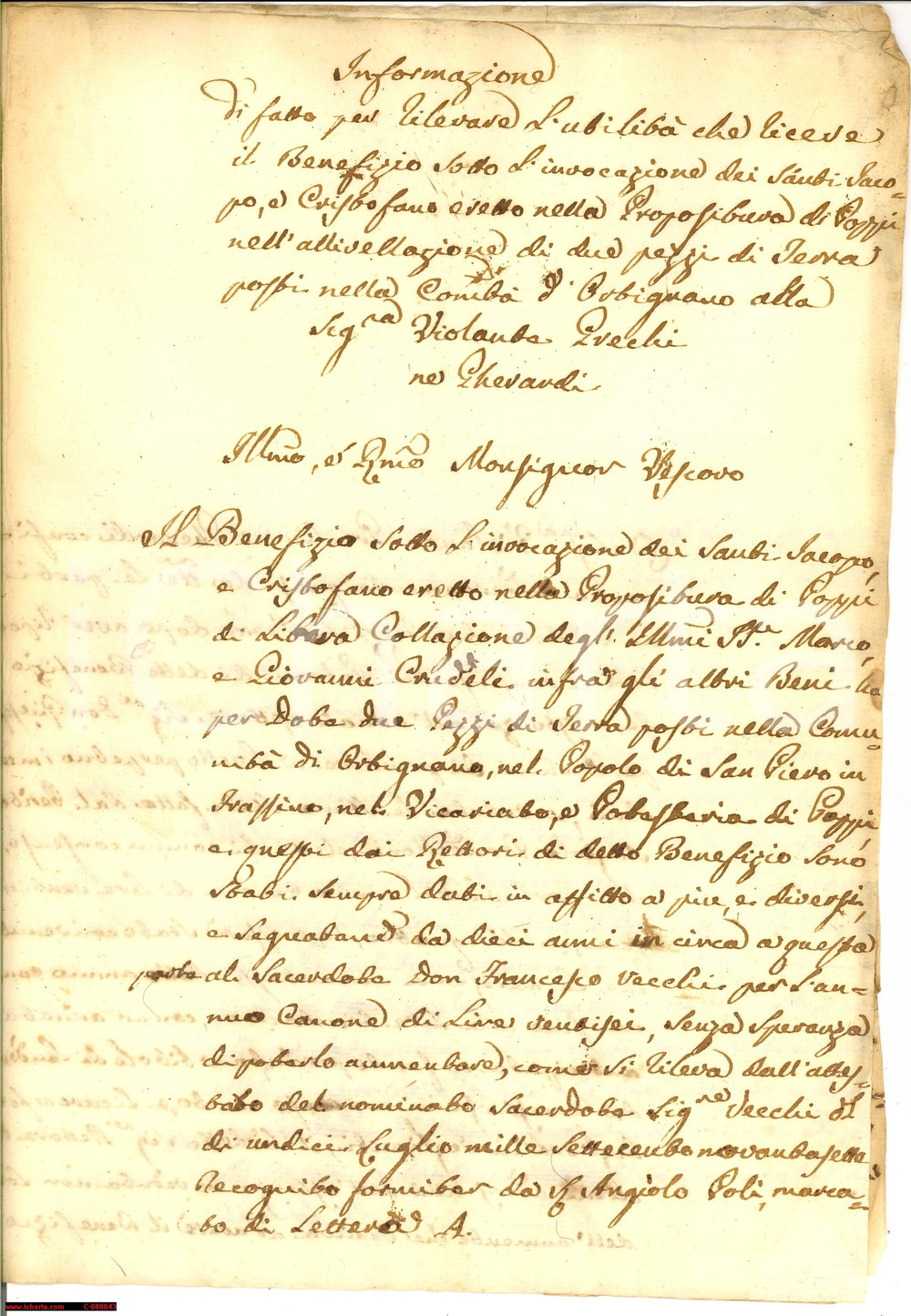 Manoscritto, lettera originale 1797 ORTIGNANO AR Terreni a Violante GRECHI GHERARDI 1