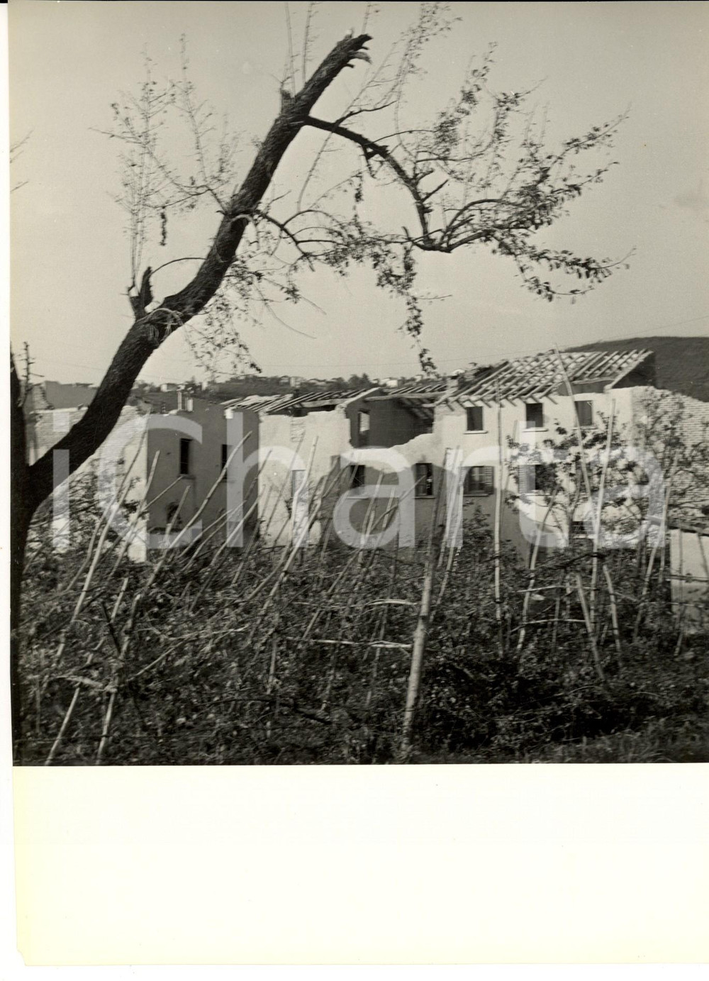 Fotografia d'epoca originale 1957 ROBECCO PAVESE (PV) Abitazioni del paese distrutte dal tornado Foto CARRARO 1