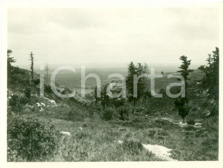 Fotografia d epoca originale 1939 MESSA CIRENAICA Valle del VILLAGGIO PRIMAVERA da vecchia ridotta FOTO 1