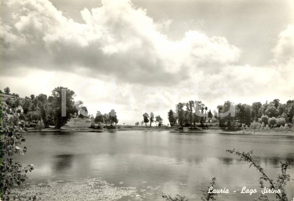 Cartolina originale da collezione 1963 LAURIA (PZ) Veduta panoramica del Lago SIRINO *Cartolina postale FP VG 1